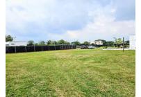 Lotes, Venta, Palmira - $520.000.000