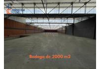 Locales y Bodegas, Alquiler, Palmira