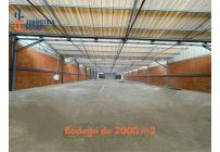 Locales y Bodegas, Alquiler, Palmira