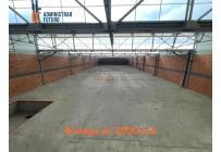 Locales y Bodegas, Alquiler, Palmira