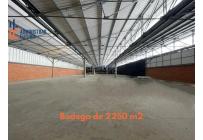 Locales y Bodegas, Alquiler, Palmira