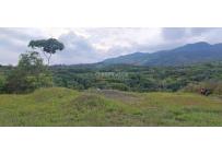 Lotes, Venta, Pance - $730.000.000