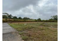 Lotes, Venta, Pance - $730.000.000