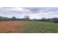 Lotes, Venta, Pance - $730.000.000