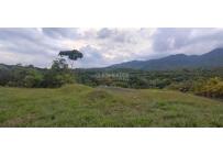 Lotes, Venta, Pance - $730.000.000