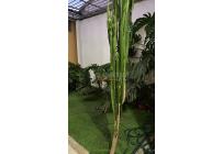 Apartaestudios, Alquiler, San Fernando