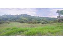 Lotes, Venta, Pance - $1.040.000.000