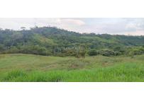 Lotes, Venta, Pance - $1.040.000.000