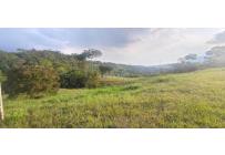 Lotes, Venta, Pance - $1.070.000.000