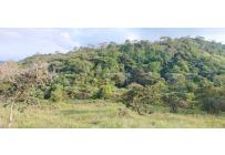 Lotes, Venta, Pance - $1.150.000.000