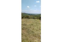 Lotes, Venta, Pance - $1.150.000.000