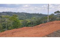 Lotes, Venta, Pance - $870.000.000