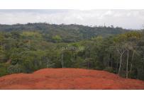 Lotes, Venta, Pance - $870.000.000