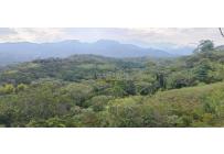 Lotes, Venta, Pance - $700.000.000