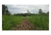 Lotes, Venta, Zarzal - $8.820.000.000