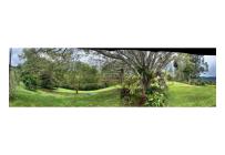 Fincas y Casas Campestres, Venta, La Cumbre - $1.600.000.000