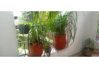 Apartamentos, Alquiler, El Peñón - $4.900.000