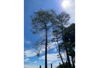 Fincas y Casas Campestres, Venta, Restrepo - $450.000.000