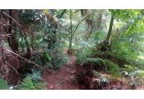 Lotes, Venta, Bella Suiza - $385.000.000