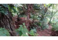 Lotes, Venta, Bella Suiza - $385.000.000