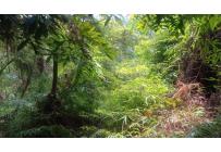 Lotes, Venta, Bella Suiza - $385.000.000