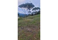 Lotes, Venta, Pance - $1.200.000.000