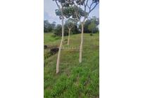 Lotes, Venta, Pance - $1.200.000.000