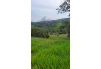 Lotes, Venta, Pance - $1.200.000.000