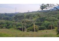 Lotes, Venta, Pance - $1.200.000.000