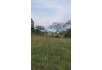 Lotes, Venta, Pance - $1.200.000.000