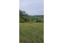 Lotes, Venta, Pance - $1.200.000.000