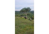 Lotes, Venta, Pance - $1.200.000.000