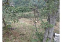 Lotes, Venta, Montebello - $380.000.000