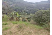 Lotes, Venta, Montebello - $380.000.000