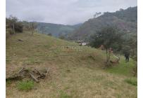Lotes, Venta, Montebello - $380.000.000