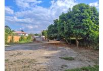 Lotes, Venta, Palmira - $650.000.000