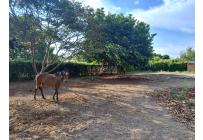 Lotes, Venta, Palmira - $650.000.000
