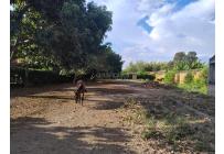 Lotes, Venta, Palmira - $650.000.000