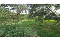 Lotes, Venta, Candelaria - $60.000.000