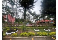 Casas, Alquiler, Adoquines de Camino Real