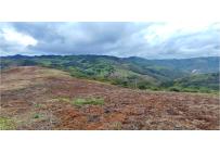 Lotes, Venta, Calima (Darién) - $530.000.000