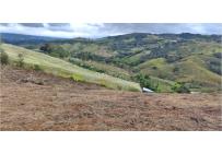 Lotes, Venta, Calima (Darién) - $530.000.000