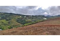 Lotes, Venta, Calima (Darién) - $530.000.000