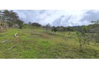 Lotes, Venta, Calima (Darién) - $530.000.000