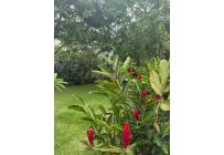 Apartamentos, Venta, Pance - $900.000.000