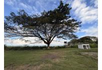 Lotes, Venta, Palmira - $1.100.000.000