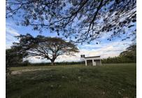 Lotes, Venta, Palmira - $1.100.000.000