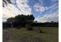 Lotes, Venta, Palmira - $1.100.000.000