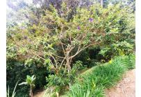 Casas, Venta, Yumbo - $650.000.000