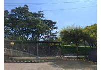 Apartamentos, Venta, Prados del Limonar - $210.000.000